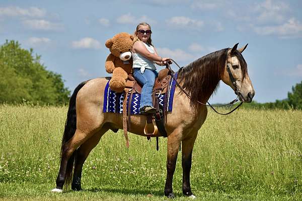 family-horse-tennessee-walking