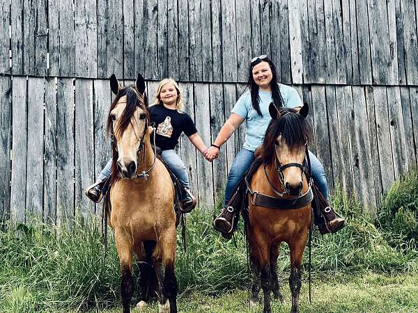 twhbea-tennessee-walking-horse