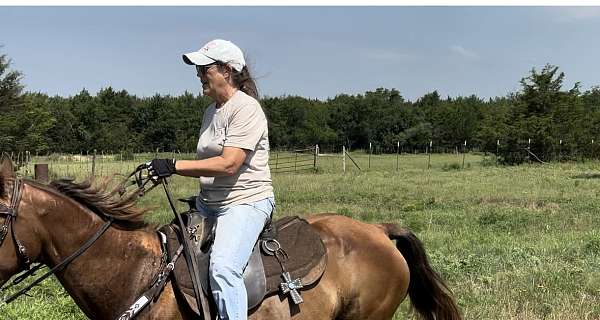 butt-missouri-fox-trotter-horse