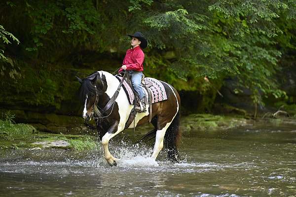 jumping-gypsy-vanner-horse