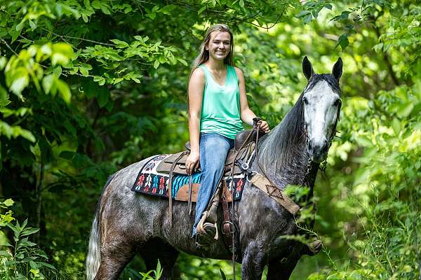 confidence-kentucky-mountain-horse