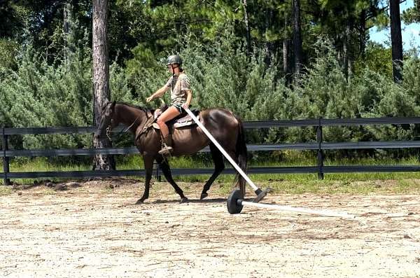 barrel-racing-quarter-horse