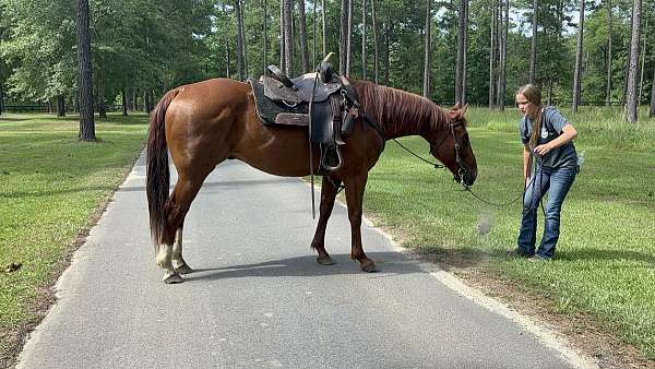 stripe-two-back-socks-horse