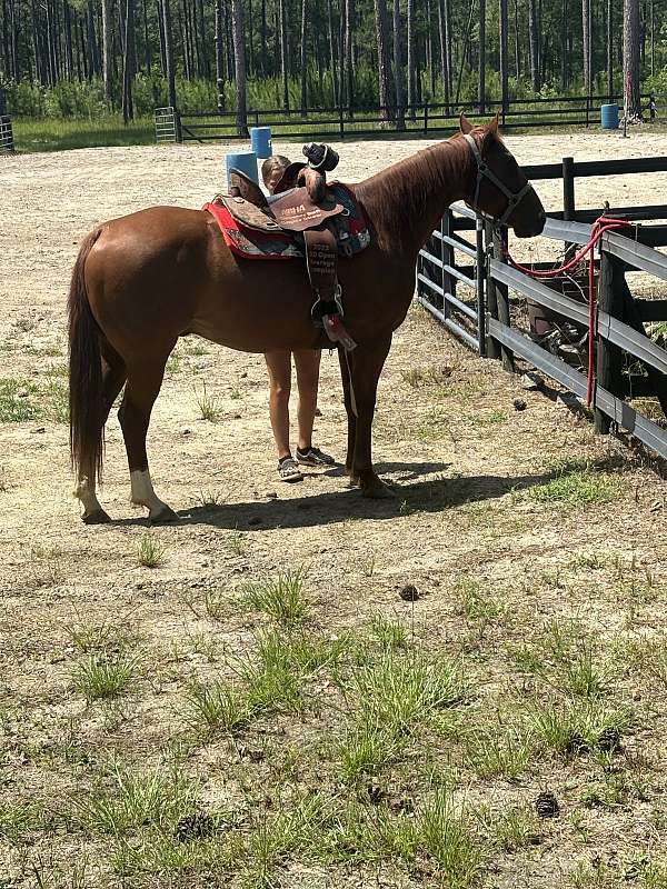 sorrel-stripe-two-back-socks-horse