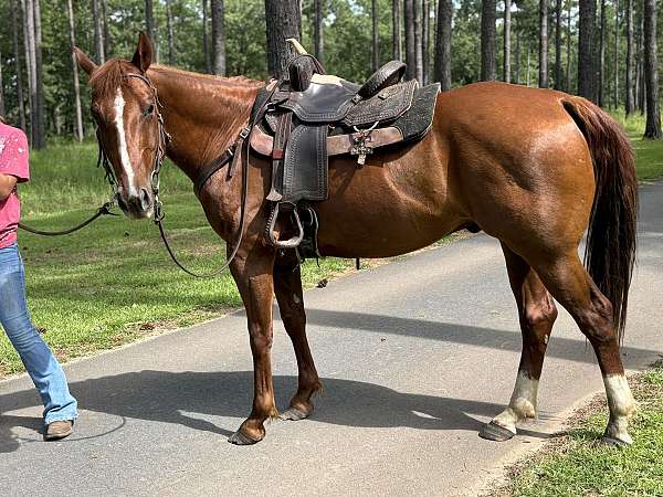 ranch-work-quarter-horse