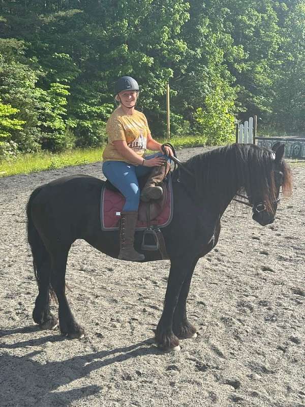 advanced-friesian-horse