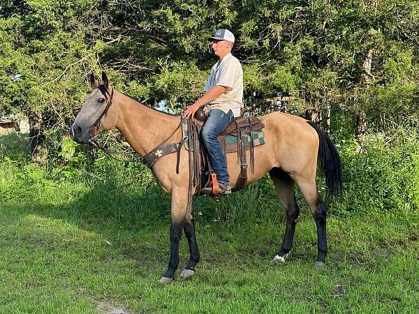 flashy-quarter-horse