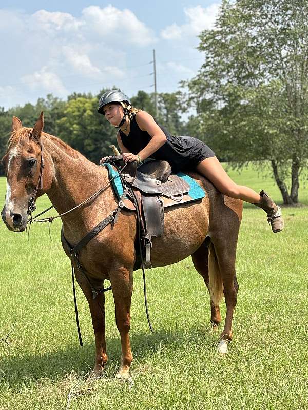 children-quarter-horse