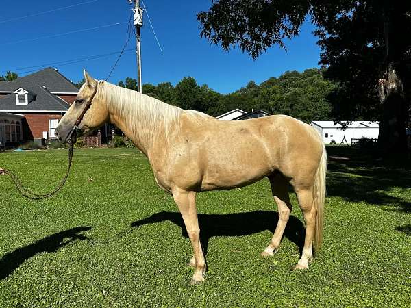 barrel-quarter-donkey