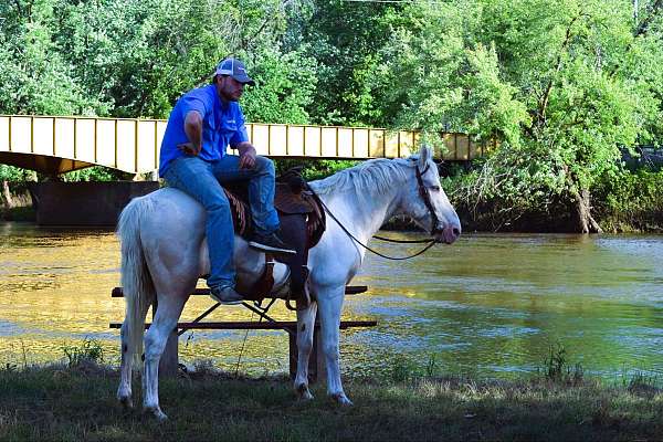 family-paint-horse