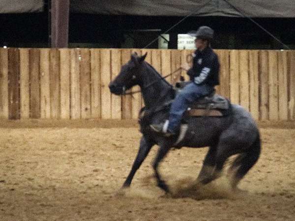 reined-cowhorse-quarter-horse