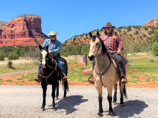 horsemanship-quarter-horse