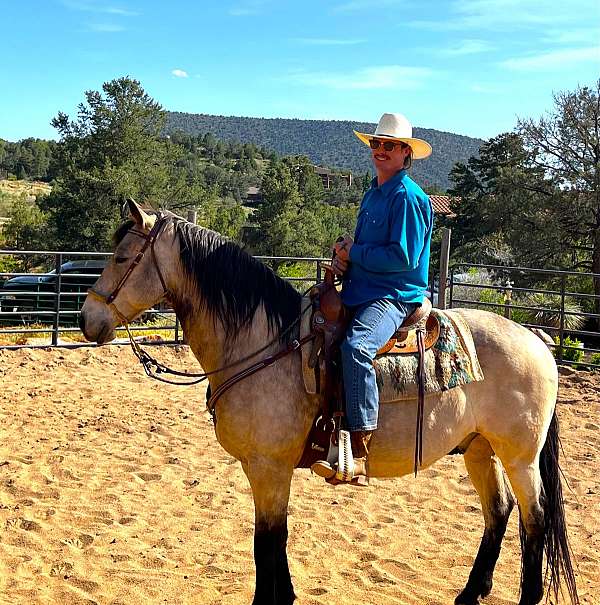 western-riding-quarter-horse