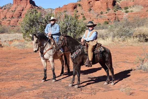 buckskin-ridden-western-horse