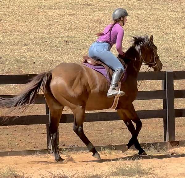 children-thoroughbred-horse