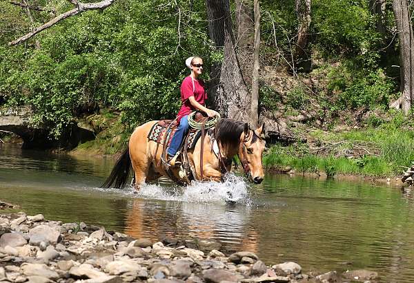 calf-roping-quarter-horse