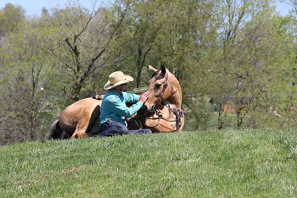 jumping-quarter-horse