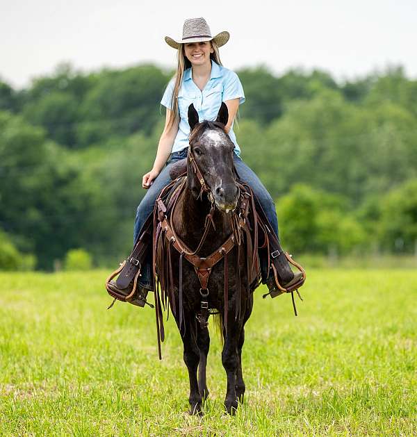 cowboys-appaloosa-horse