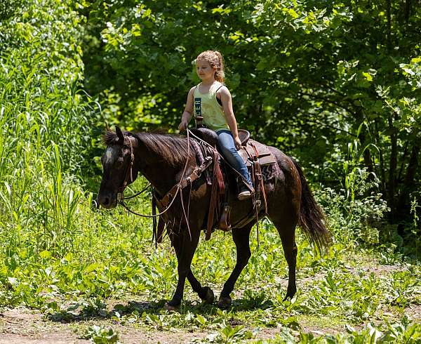 fun-shows-appaloosa-horse