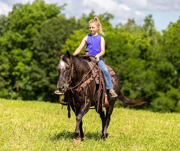 neck-appaloosa-horse