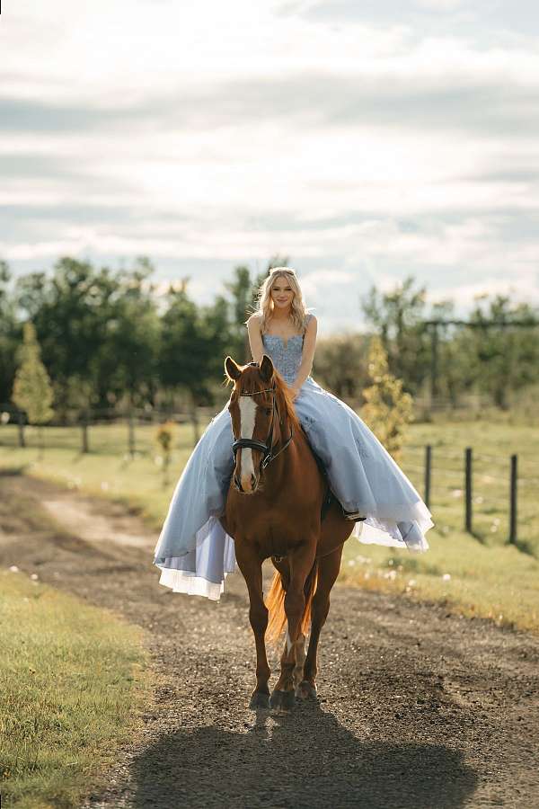 chestnut-thoroughbred-mare