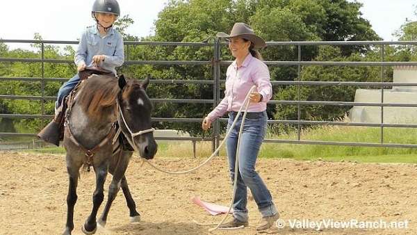 kid-safe-quarter-pony