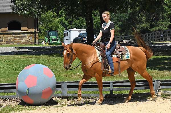 bombproof-quarter-horse