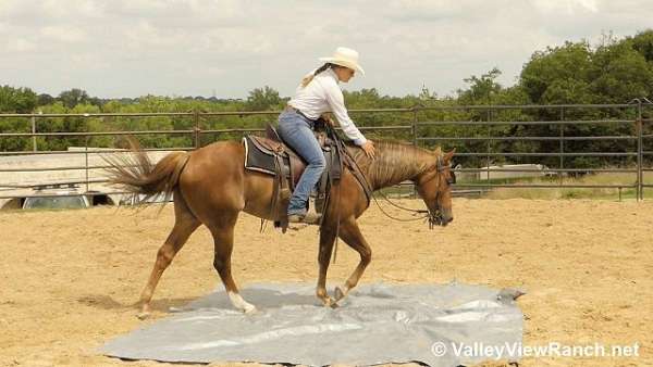 sorrel-ranch-horse