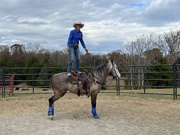 blm-freeze-brand-horse