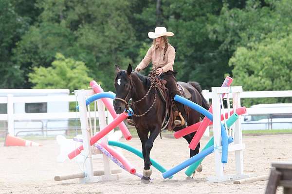 equitation-mustang-horse