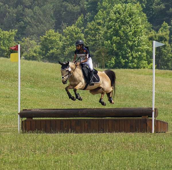 cross-country-poa-pony