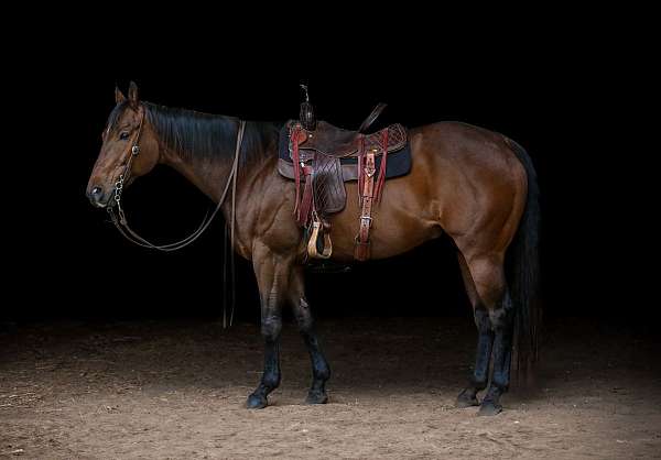 barrel-racing-quarter-horse