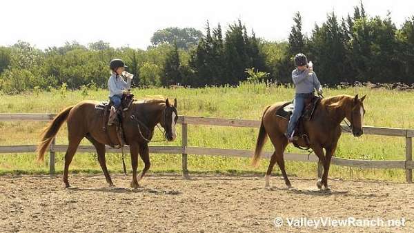 sorrel-ranch-versatility-horse