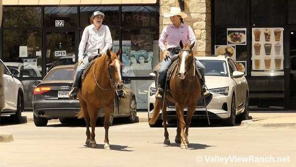 trail-riding-quarter-horse