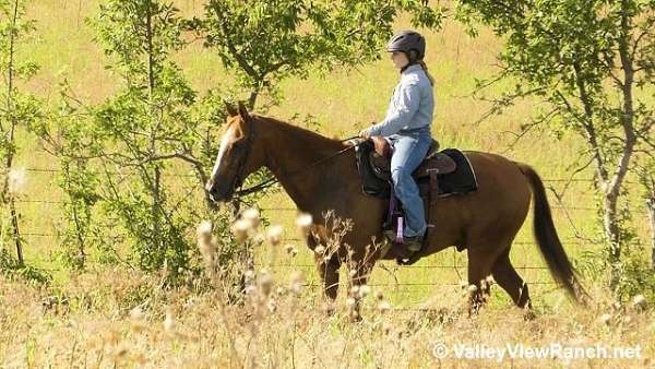 youth-quarter-horse