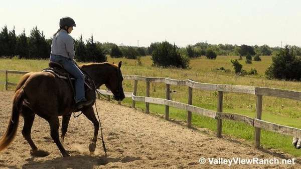 sorrel-quarter-horse-gelding