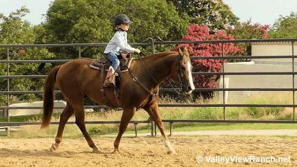 trail-riding-quarter-horse