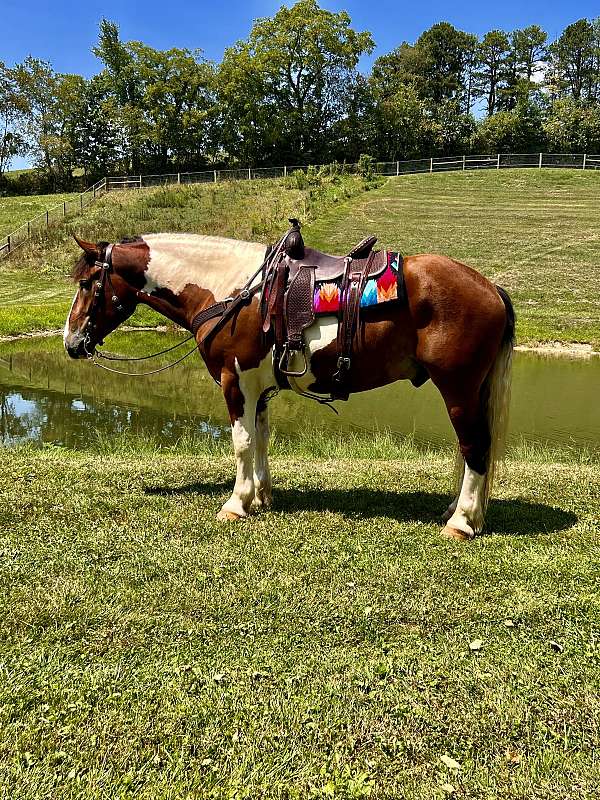 twilight-farms-draft-horse