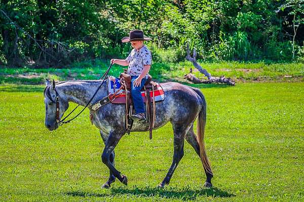 beginner-safe-quarter-horse