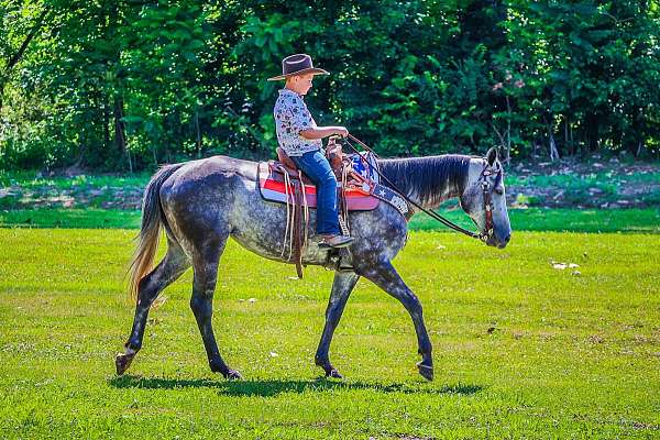 family-horse-quarter