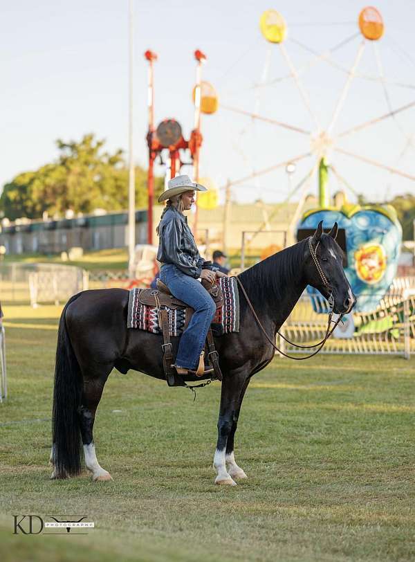 athletic-tennessee-walking-horse