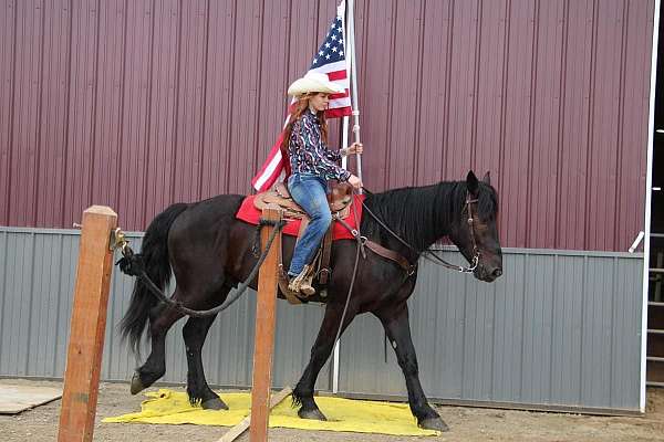 athletic-friesian-horse