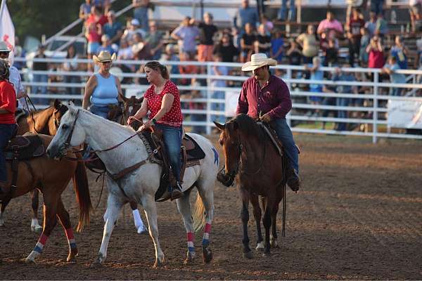 athletic-quarter-horse