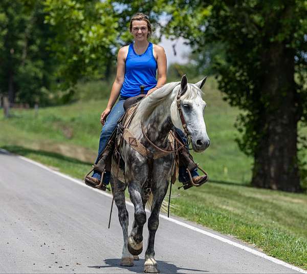 family-horse-quarter