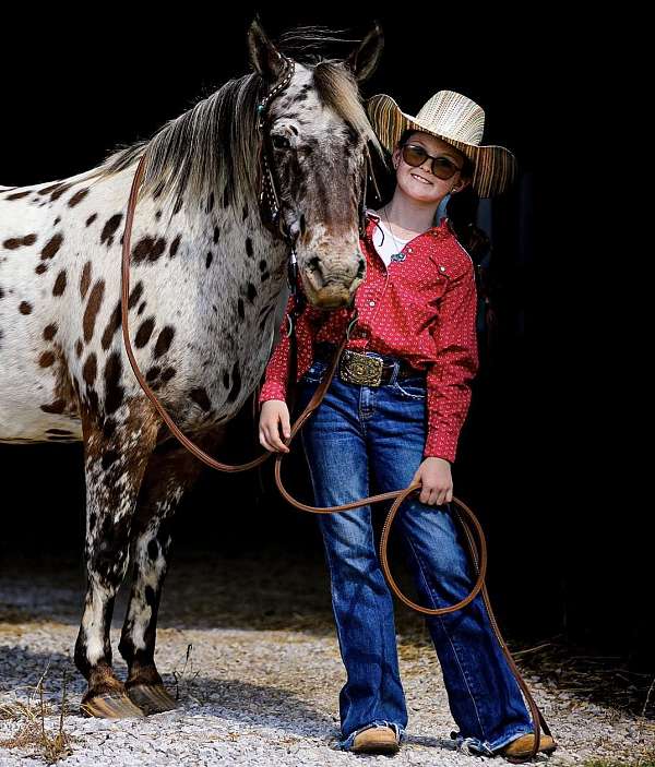 ranch-work-quarter-horse