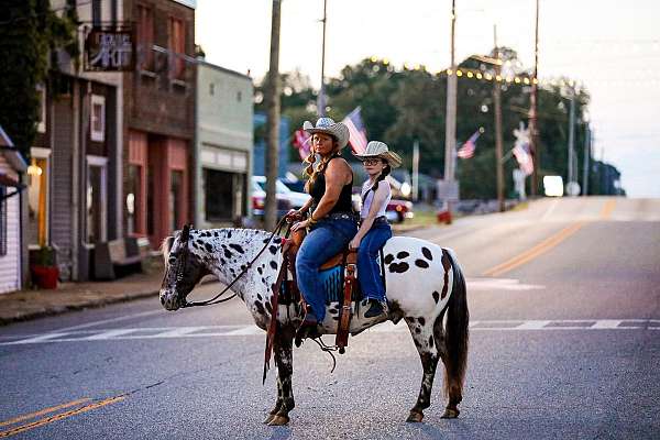 all-around-quarter-horse