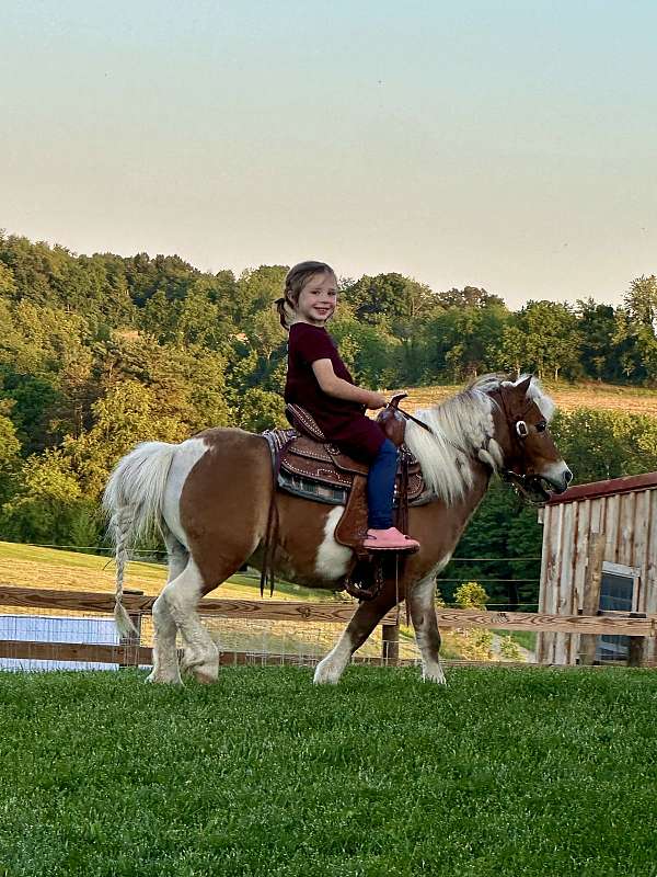 kids-pony-miniature