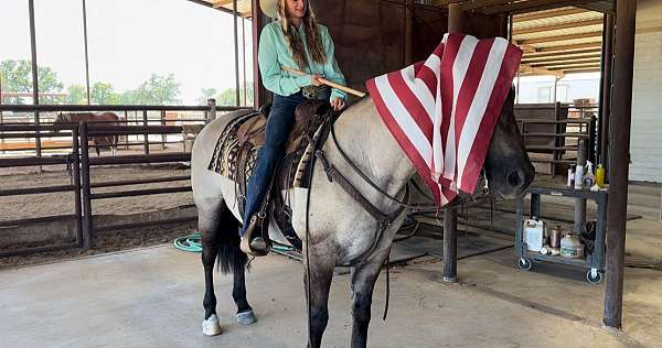 husband-safe-quarter-horse