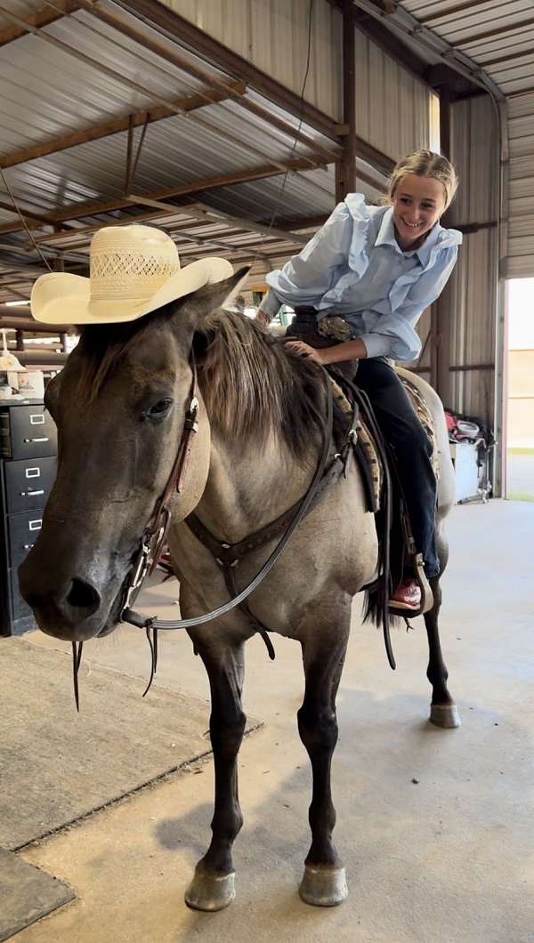 trail-riding-quarter-horse