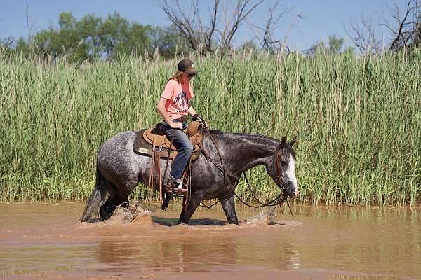 kid-safe-quarter-horse